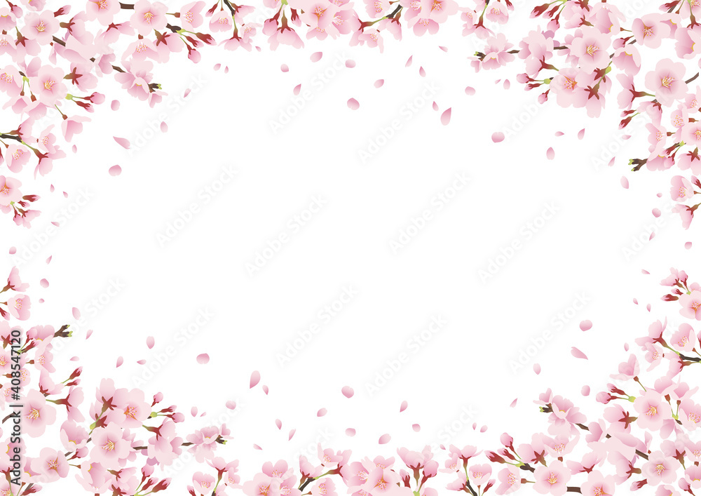 Vecteur Stock 一面の桜 桜並木を見上げる風景イラスト 飾り フレーム 周りに装飾 横長 A3 比率 Adobe Stock