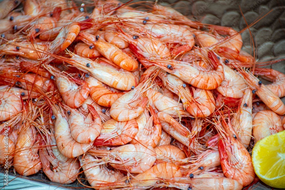shrimps on the market freshly  cooked 