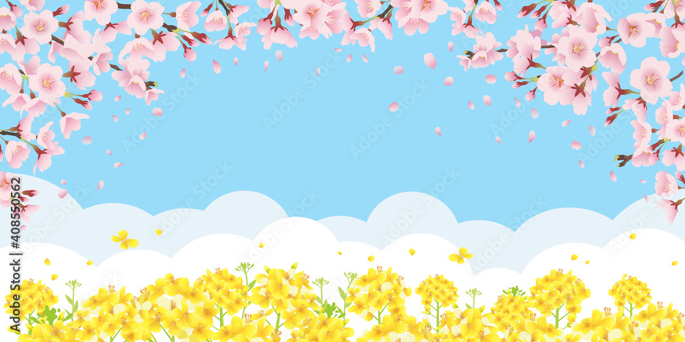 桜と菜の花畑 青空バックの背景イラスト 横長 2 1比率 Stock Vector Adobe Stock