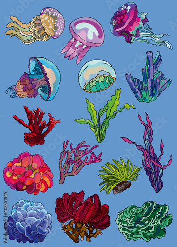 Set of vector illustrations of ocean underwater wildlife and flora: various colorful jelly fishes, waterplants, corals, sponges. © NATALYA