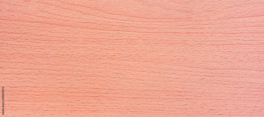 Fototapeta premium Panorama cream wood floor used to made backgrounds for your designs to be good and beautiful. Natural materials with unique patterns and versatility. High quality and easy conveniently for your work.
