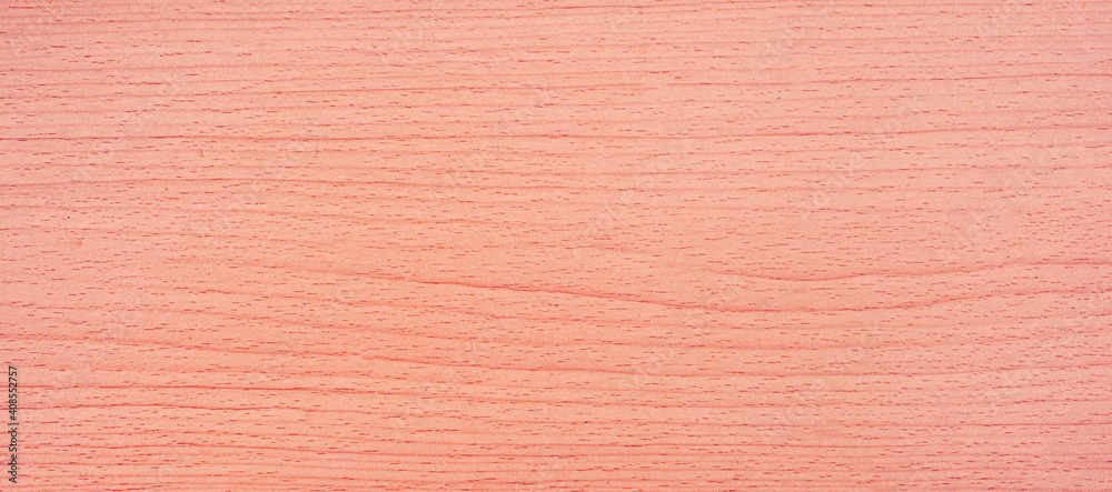 Fototapeta premium Panorama cream wood floor used to made backgrounds for your designs to be good and beautiful. Natural materials with unique patterns and versatility. High quality and easy conveniently for your work.