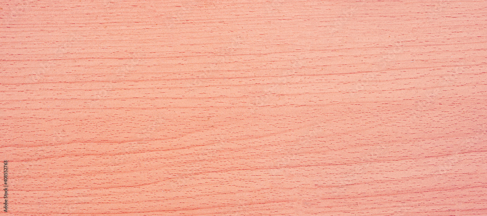 Fototapeta premium Panorama cream wood floor used to made backgrounds for your designs to be good and beautiful. Natural materials with unique patterns and versatility. High quality and easy conveniently for your work.