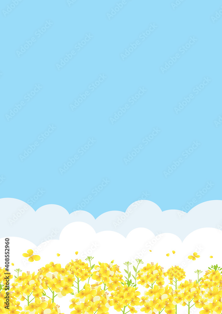 青空と菜の花畑 背景イラスト(縦長 A3・A4比率) 青空と菜の花畑 背景イラスト(縦長 A3・A4比率)