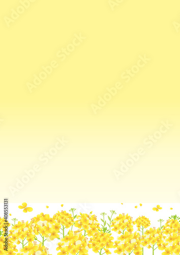 菜の花、一面黄色 菜の花畑 背景イラスト（縦長 A3・A4比率）