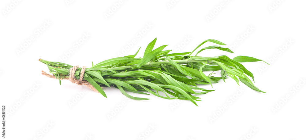 Fototapeta premium Tarragon (Artemisia dracunculus) Isolated on white background