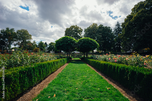 garden in the park