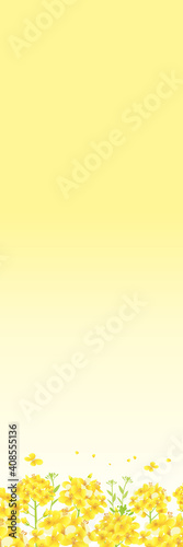 菜の花のイラスト 黄色背景（縦長 のぼり旗 600×1800mm 比率）