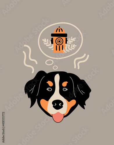 Vector portrait of Bernese Mountain Dog . Cartoon illustration with dog and hydrant for print, poster, sticker or card.