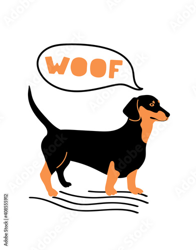 Vector portrait of Dachshund . Cartoon illustration with dog and quote 'Woof' for print, poster, sticker or card.