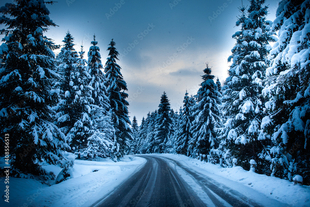 Driving through a natural calm winter fairytale