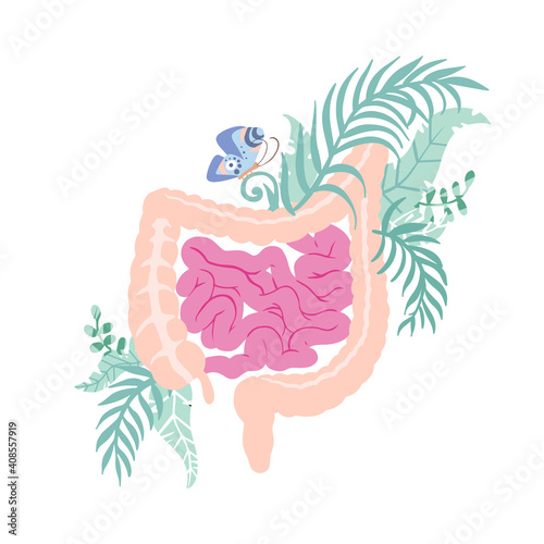 Intestines. Taking care of your health. Human digestive organ. Vector illustration.