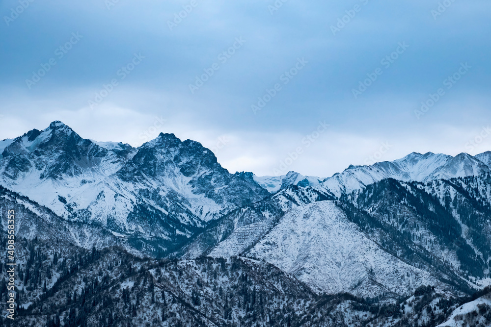 Beautiful rocky mountains with snow and fir tres background.