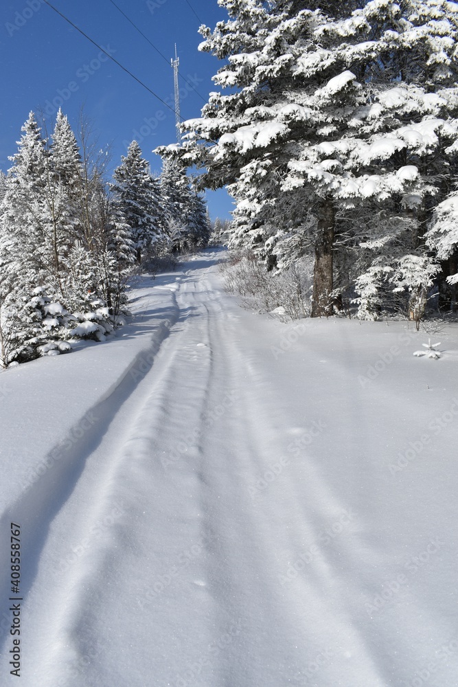 Tire tracks at recreation ground in winter, Sainte-Apolline, Quebec Tire tracks at recreation ground in winter, Sainte-Apolline, Quebec
