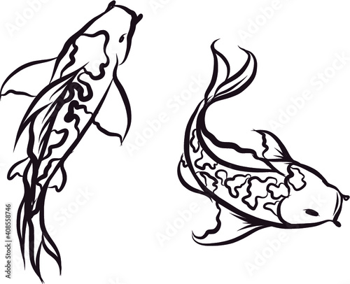 hand drawn and doodle art Koi fish for Japanese tattoo.koi carp isolate on white background.