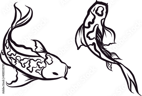 hand drawn and doodle art Koi fish for Japanese tattoo.koi carp isolate on white background.