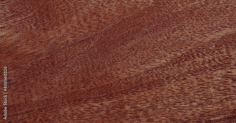 Fototapeta premium floor panoramic wooden texture background copy space for your design or put on wallpaper banner billboard. High quality easy conveniently for your work. Horizontal composition with top view
