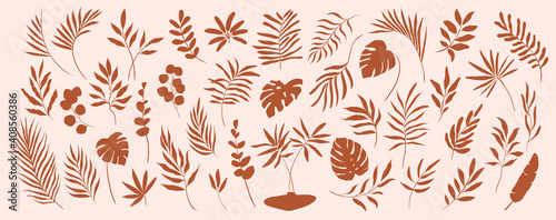 set of hand drawn modern tropical exotic terracotta leaves and branches illustration