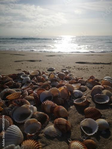 By the Sea from Barcelona- by Yra González photo