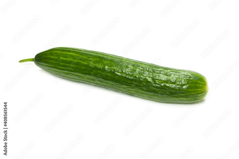 Cucumber isolated on white background. Cucumber isolated on white background.