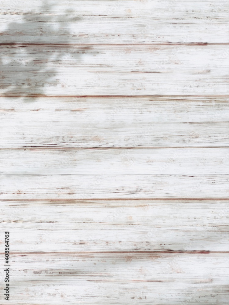 Obraz premium 白いナチュラルな板に葉の影_たて