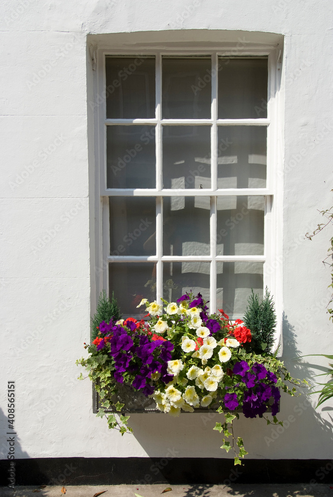 Flowers in a window box in London. Flowers in a window box in London.