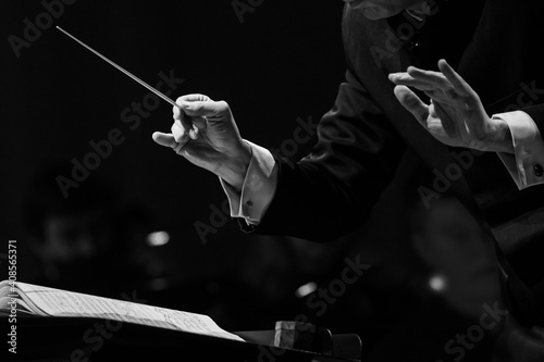  Hands of a conductor of a symphony orchestra close-up in black and white