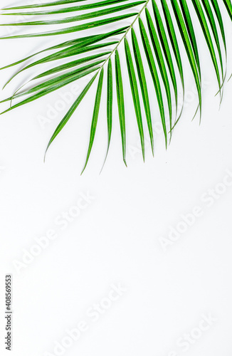 spring with morden herbal mockup on white background top view