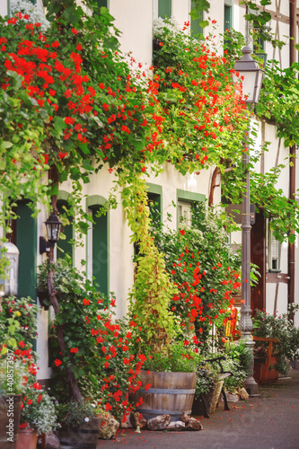 Fototapeta Naklejka Na Ścianę i Meble -  Haus mit Blumen