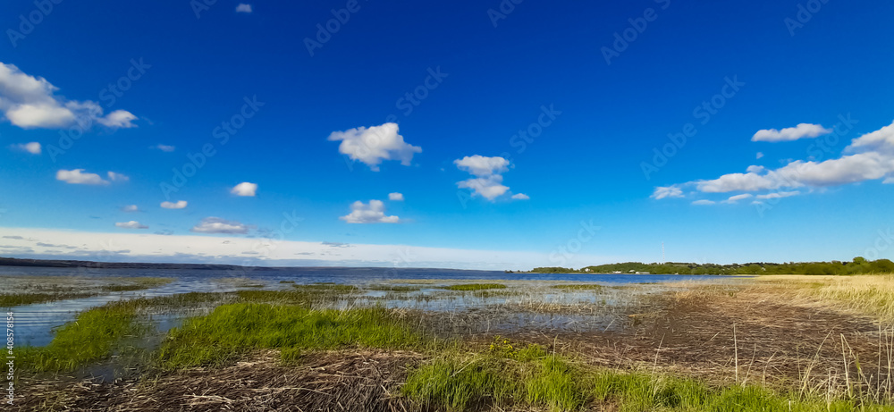 Summer countryside landscape. Bank of the lake, blue sky, green grass.