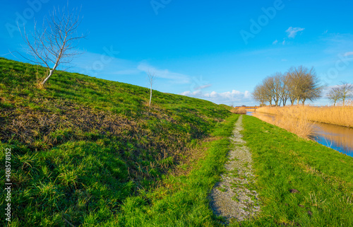 Dike in a green grassy field in wetland in sunlight under a blue sky in winter, Almere, Flevoland, The Netherlands, January 24, 2021 