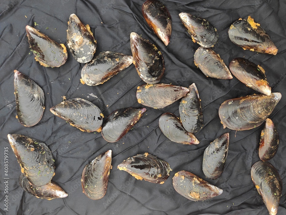 Mussels on a black tablecloth Mussels on a black tablecloth