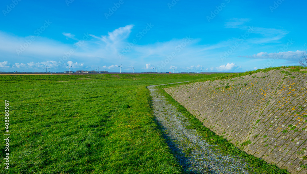 Dike in a green grassy field in wetland in sunlight under a blue sky in winter, Almere, Flevoland, The Netherlands, January 24, 2021
