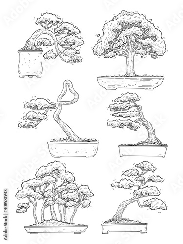 hand drawn side view Bonsai tree vector set.