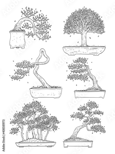 hand drawn side view Bonsai tree vector set.