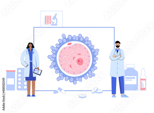 Egg cell anatomy