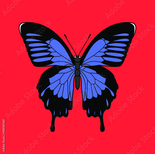 Butterflies are insects in the macrolepidopteran clade Rhopalocera from the order Lepidoptera, which also includes moths