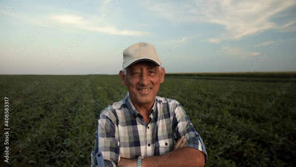 Portrait of smiling senior farmer standing in soybean looking at camera. Portrait of smiling senior farmer standing in soybean looking at camera.