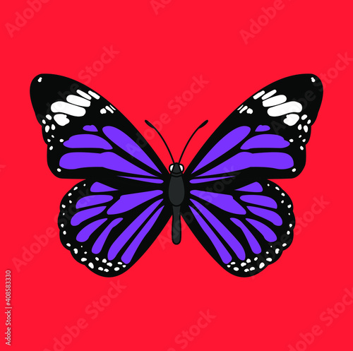Butterflies are insects in the macrolepidopteran clade Rhopalocera from the order Lepidoptera, which also includes moths