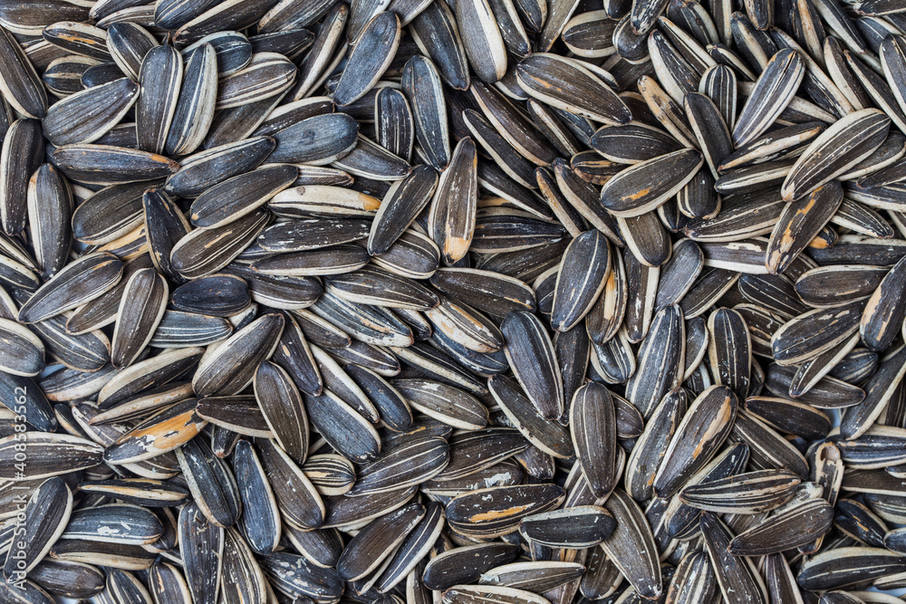 background seeds background seeds