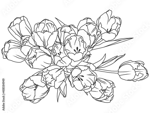 Coloring book flowers, tulips bloomed. Engraving vector illustration.
