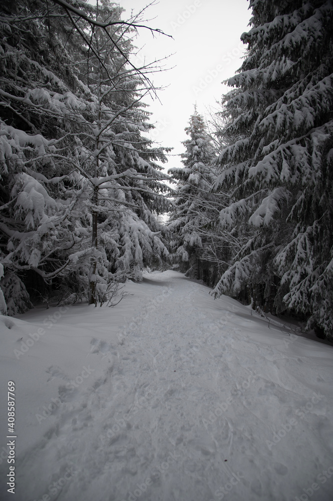 Fototapeta premium snow covered road