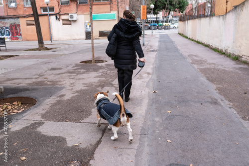 Woman walking her dog with a retractable leash	 photo