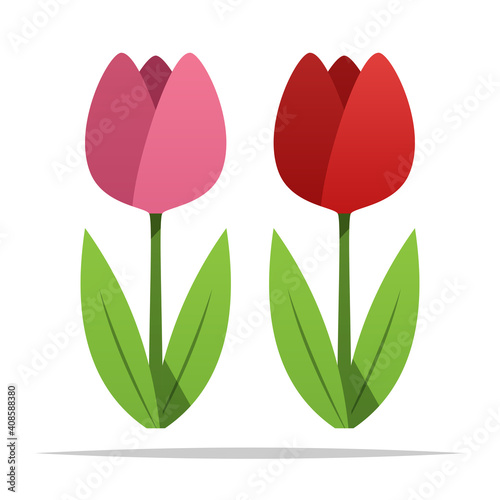 Tulip flower plant vector isolated illustration