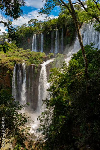 Wonderful vivid landscape of Iguazu Falls with water streams falling down among verdant vegetation in sunny day