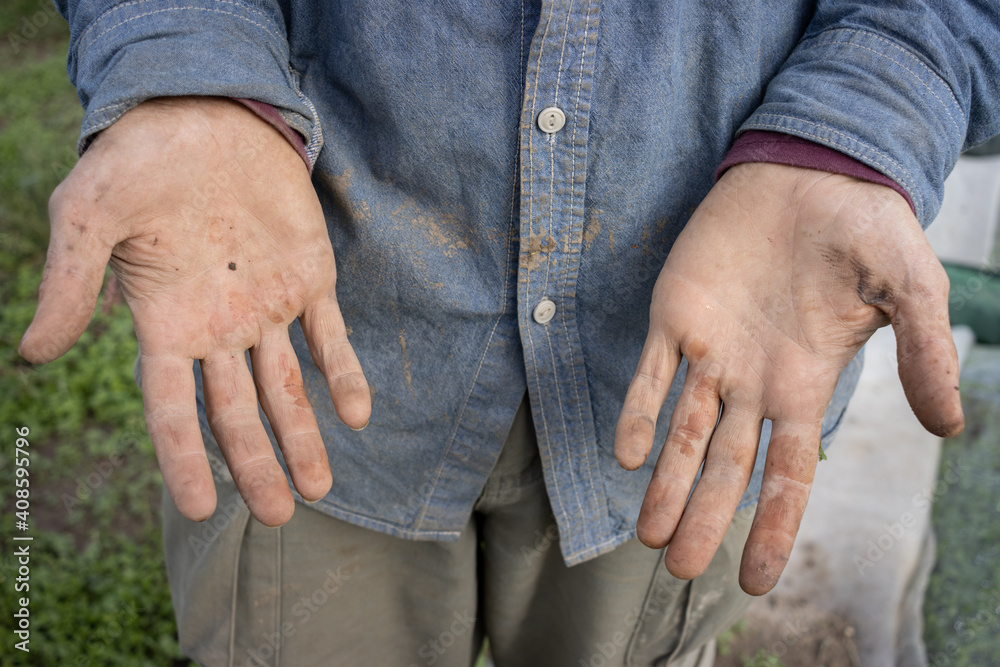 manos del trabajador agrícola