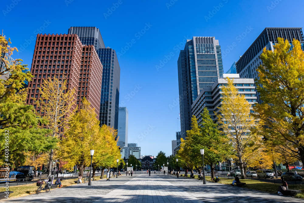 東京都 東京駅前 行幸通り、高層ビル群と紅葉