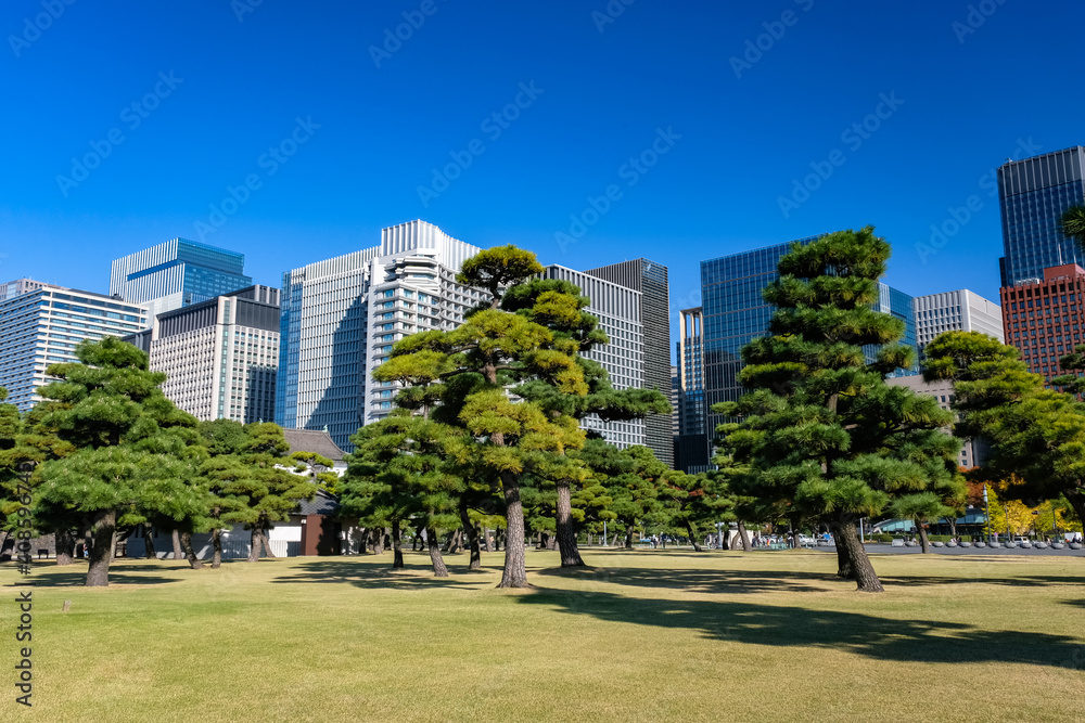 Obraz premium 東京都 皇居外苑の自然と丸の内、高層ビル群