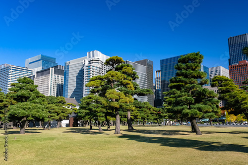 東京都 皇居外苑の自然と丸の内、高層ビル群
