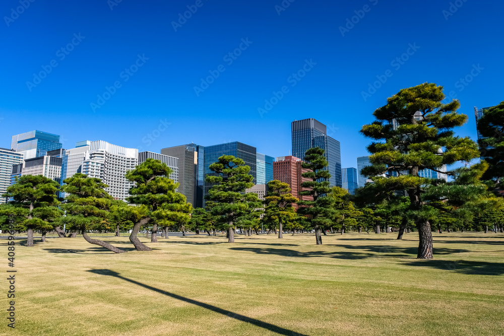 東京都 皇居外苑の自然と丸の内、高層ビル群